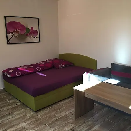Sarka Strupčice